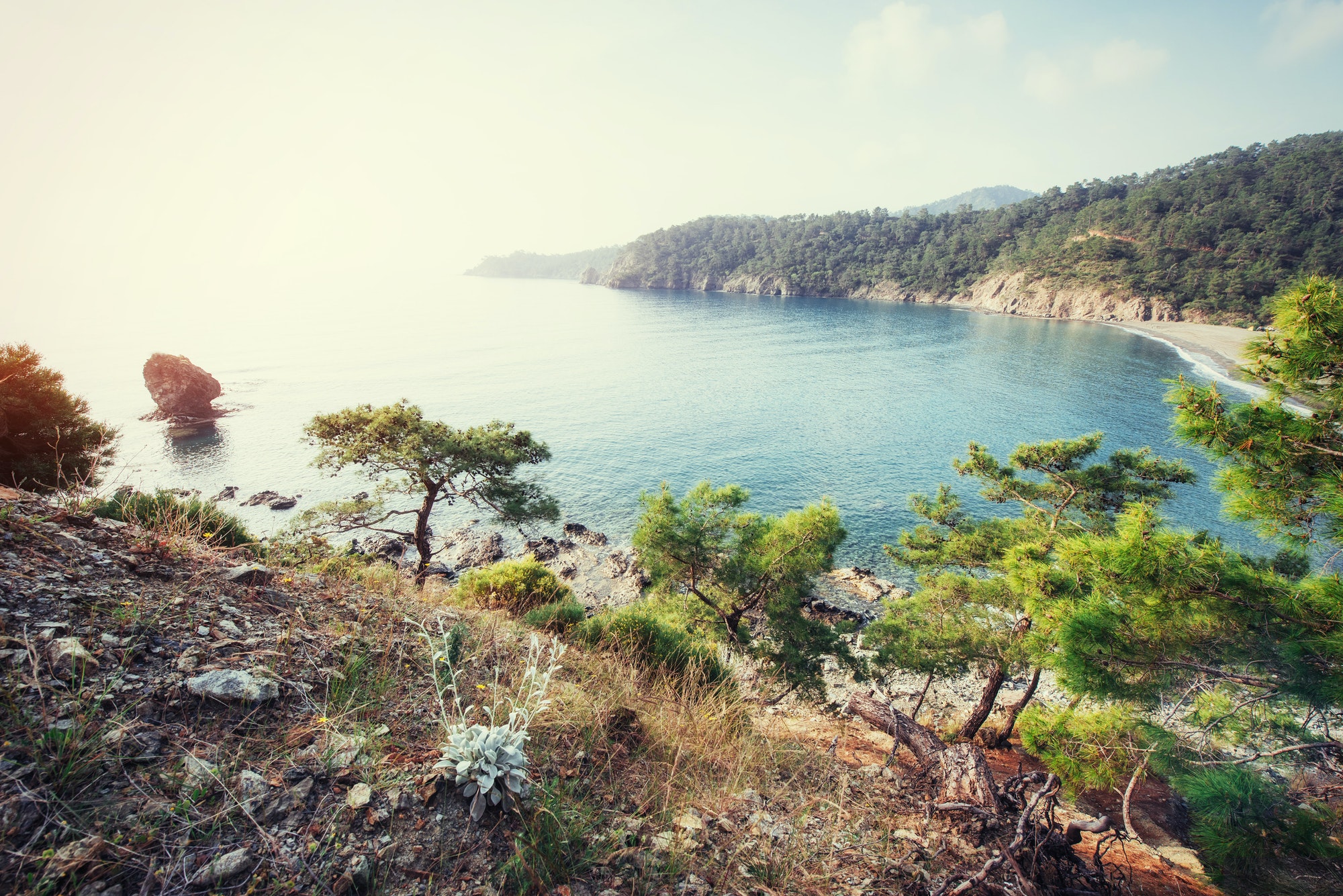 Pour quelle raison choisir le  camping d’Ibardin?